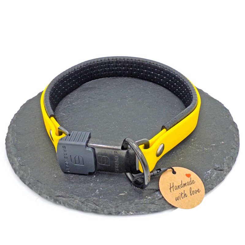 Halsband Biothane® | Sprenger ClicLock | gepolstert | 19 mm | verschiedene Farben